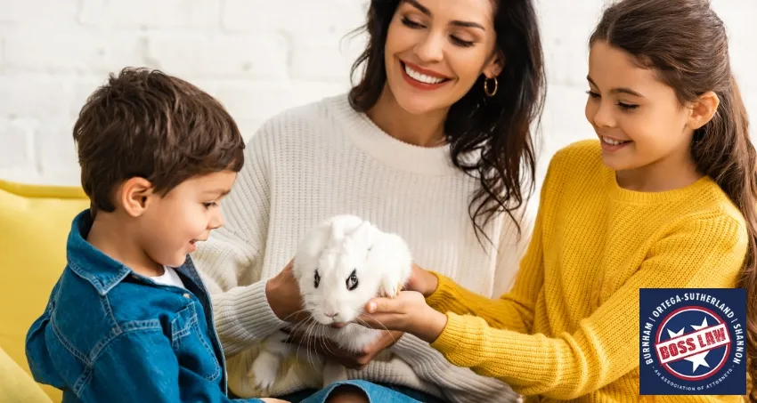 Smyrna Adoption Lawyer-image